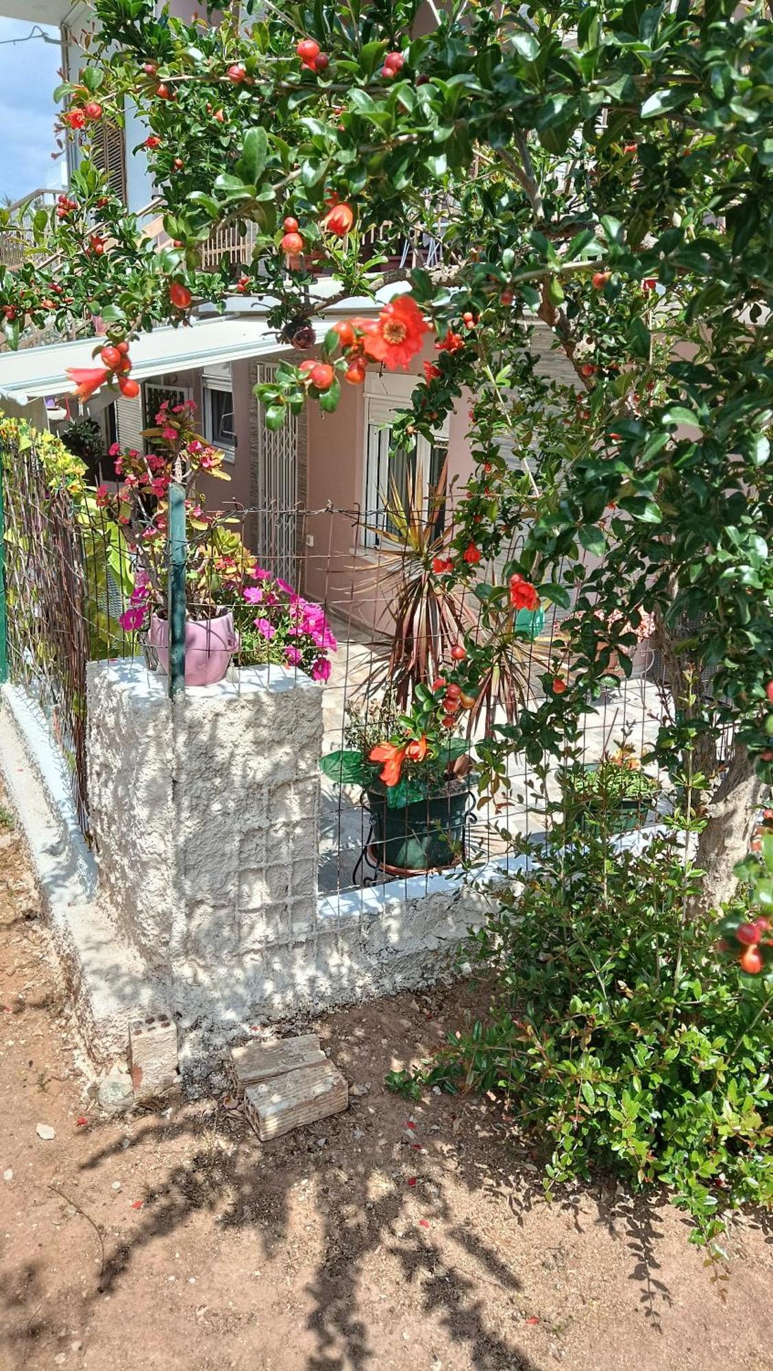 Melograno Apartment Markopoulo Mesogaias Bagian luar foto