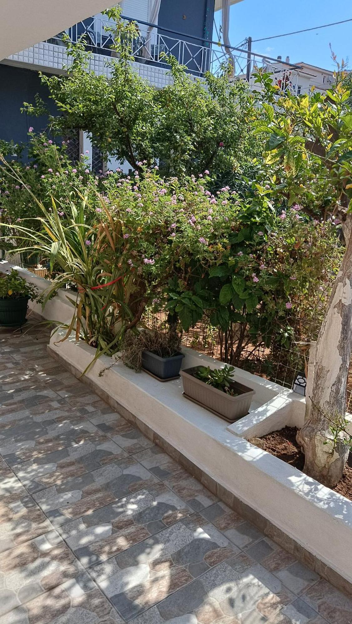 Melograno Apartment Markopoulo Mesogaias Bagian luar foto