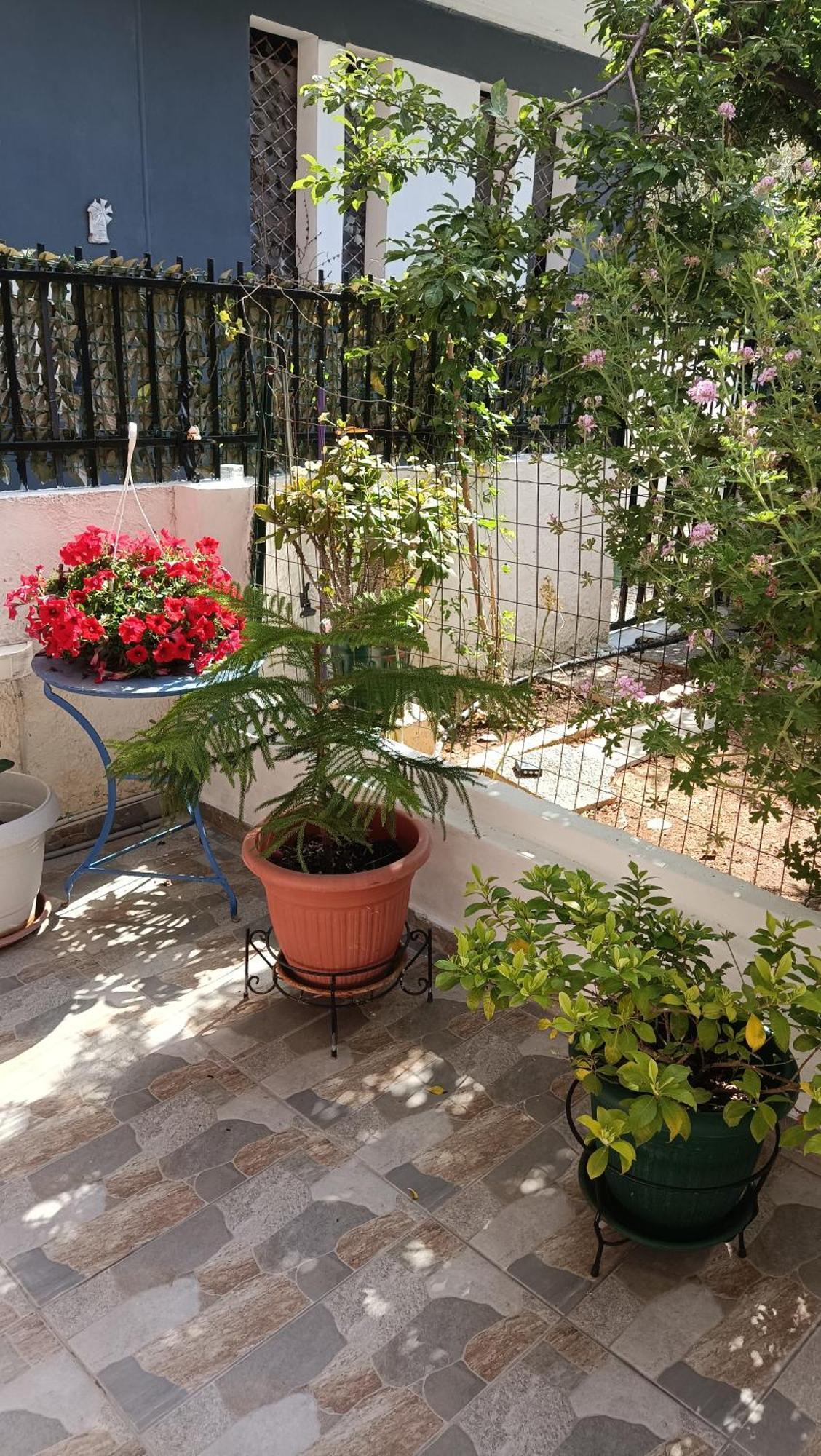 Melograno Apartment Markopoulo Mesogaias Bagian luar foto