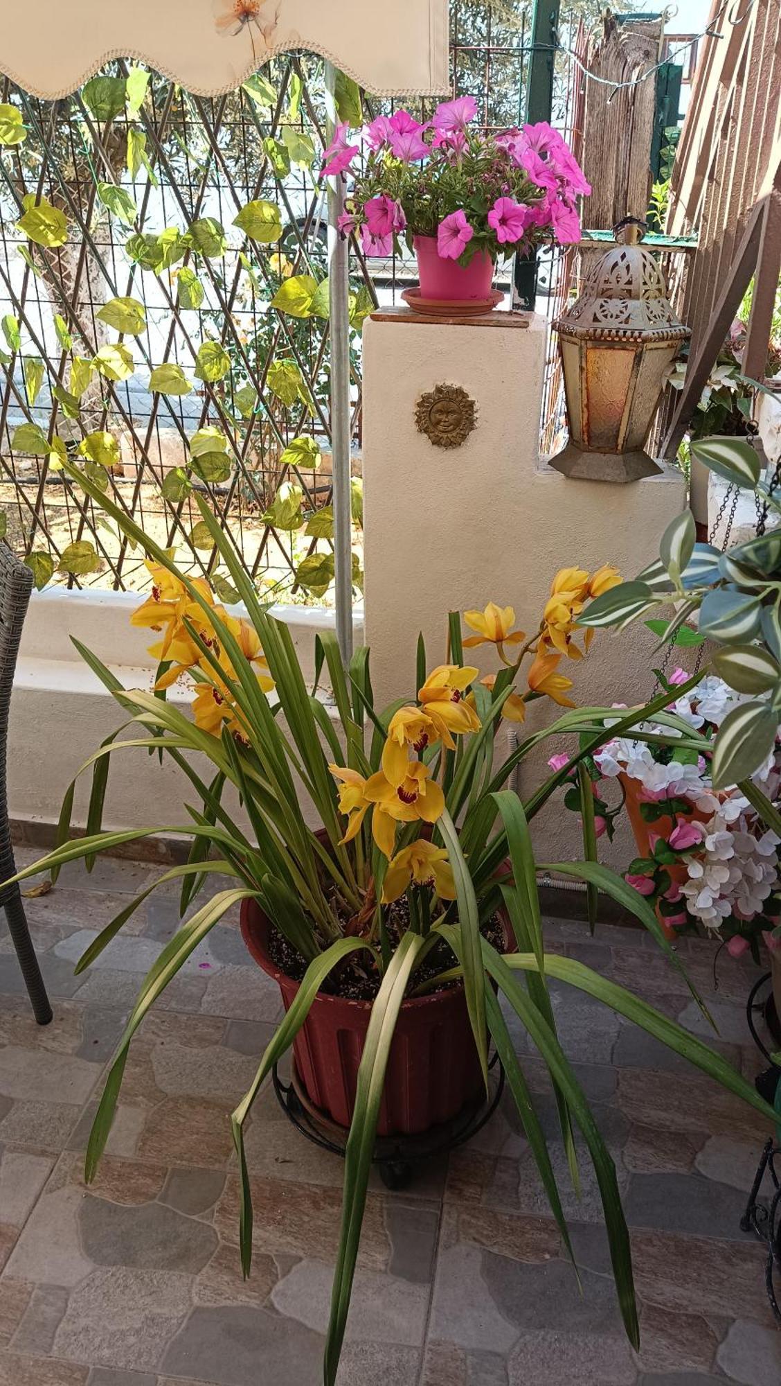 Melograno Apartment Markopoulo Mesogaias Bagian luar foto